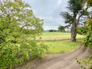 View from Master Bedroom- click for photo gallery